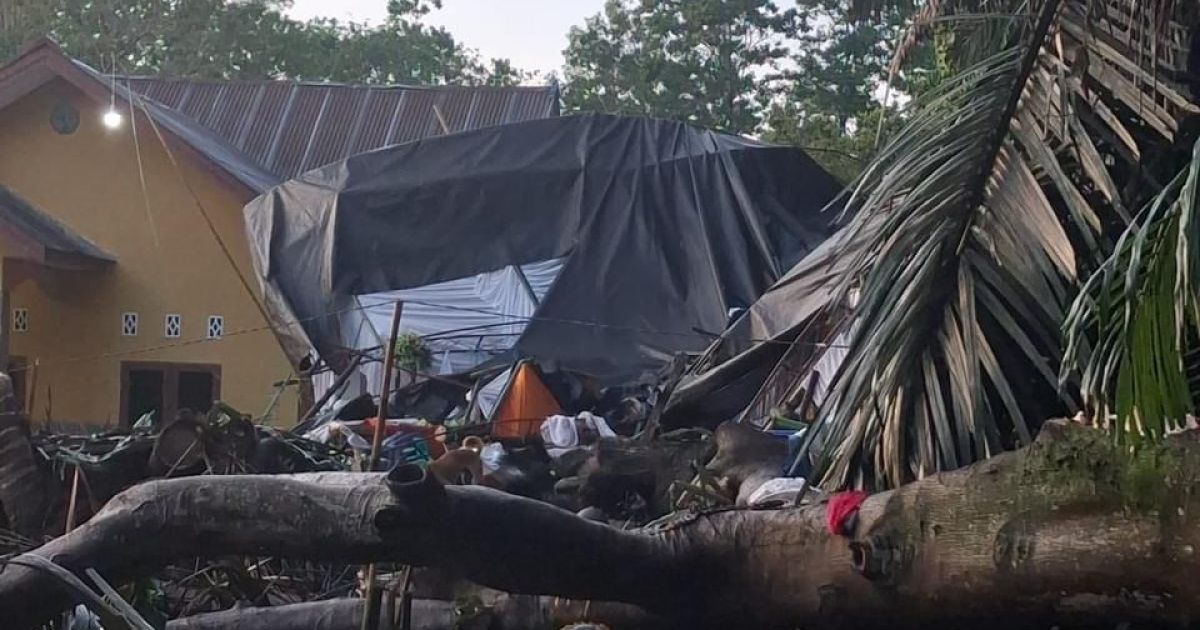 Pohon tumbang akibat angin kencang di Bonę, Sulawesi Selatan pada Kamis, 9 April 2026 (Foto/BPBD Rab. Bonę)